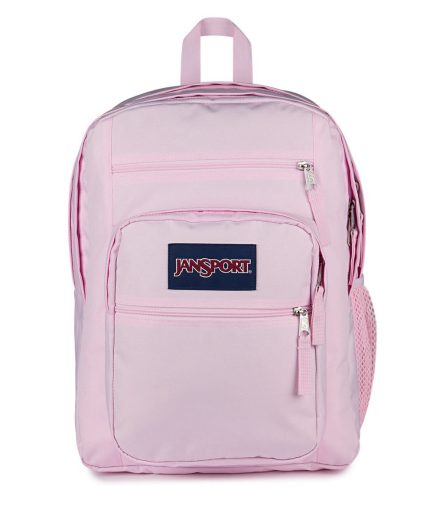Big Student Rugzak in Roze
